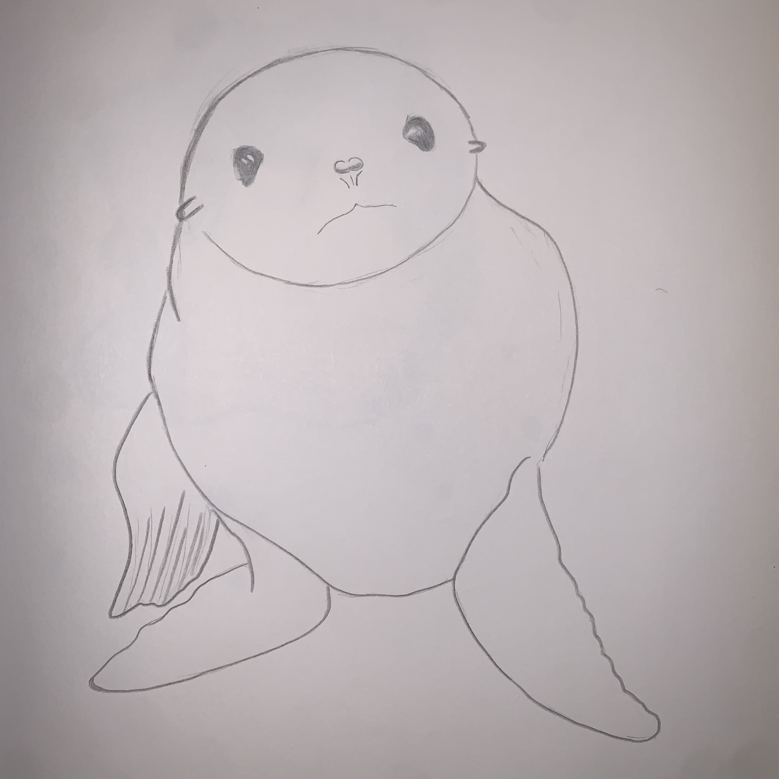 Sea Lion